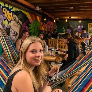 Hostal Purple Monkey, Medellín