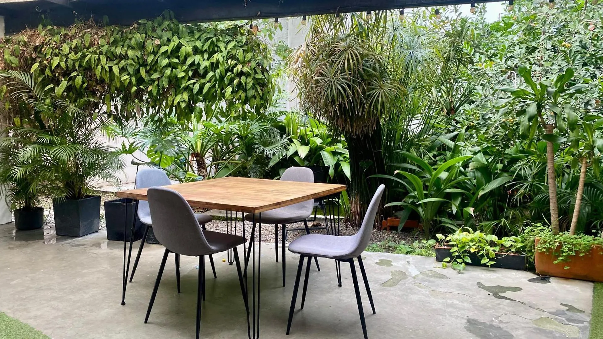 Casa Mosaiko Primer Parque Laureles Medellin Guest house